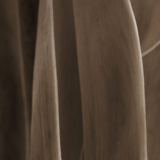 Woody Image