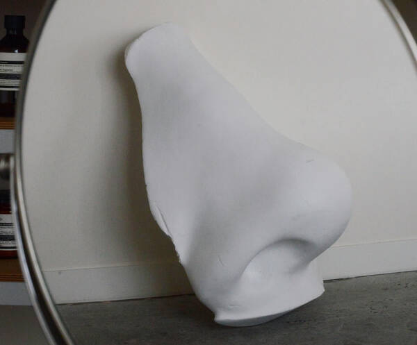Nose Image