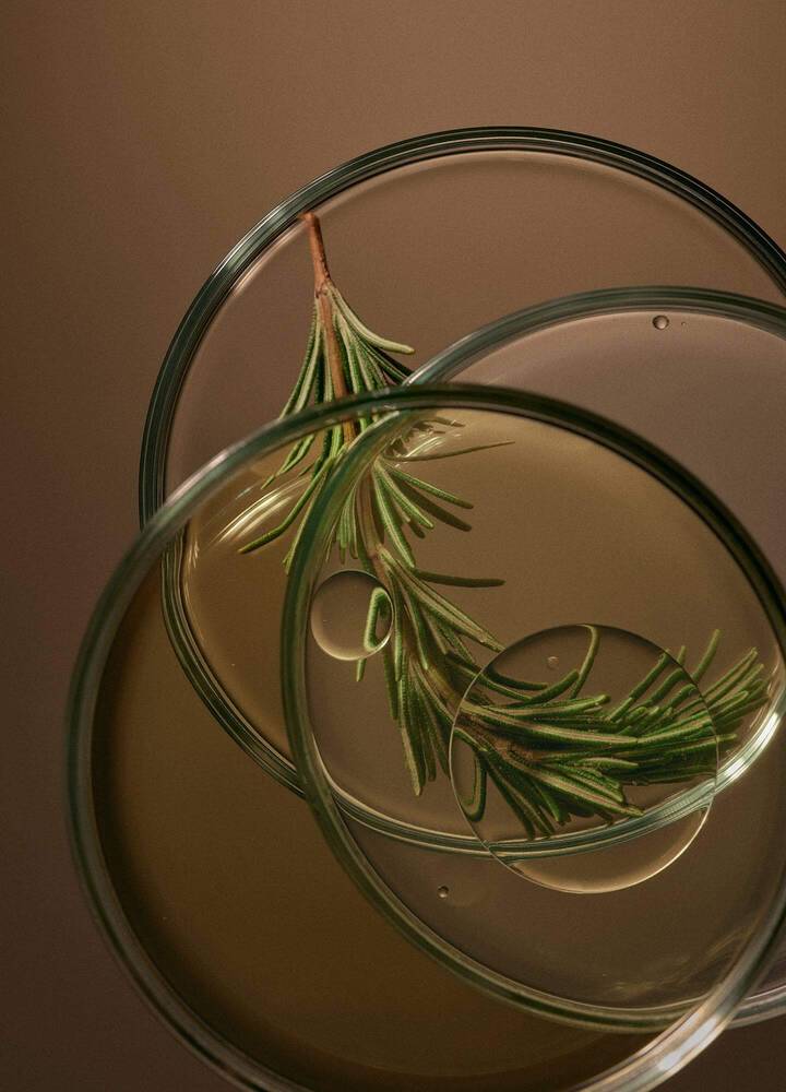 Essential oils known to soothe and replenish