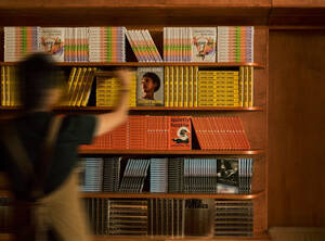 The Aesop Queer Library: on literature