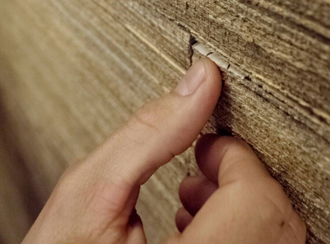 An introduction to skin types