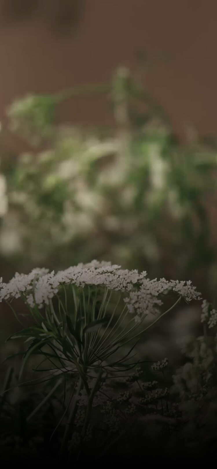 Sensorial gifts that speak to mothers’ nature 