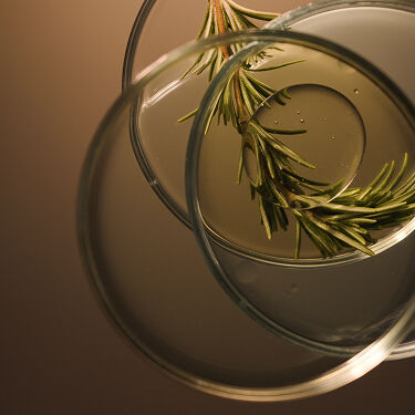 Lucent Facial Night Masque Cover