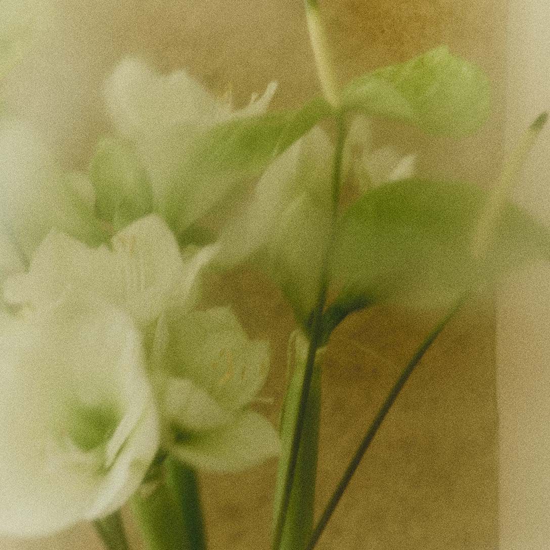 Springtime Bundles