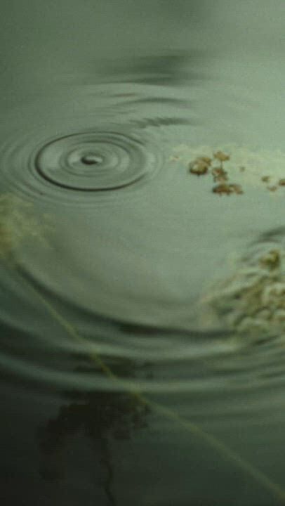 Deep cleansing, gently handled