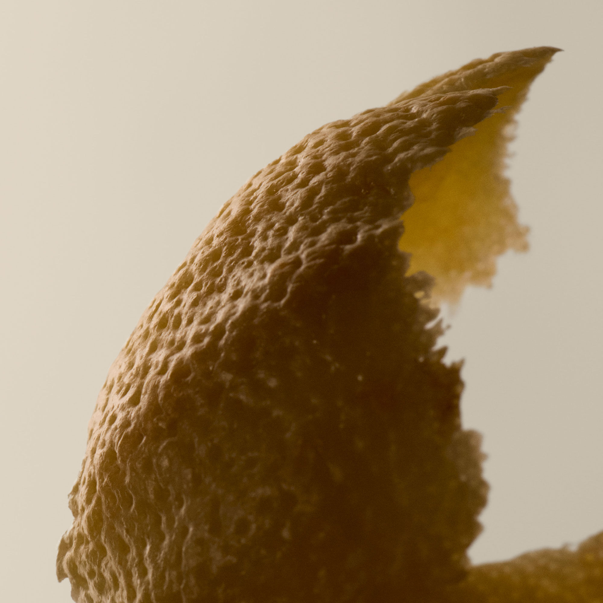 Geranium Leaf Rinse-Free Hand Wash