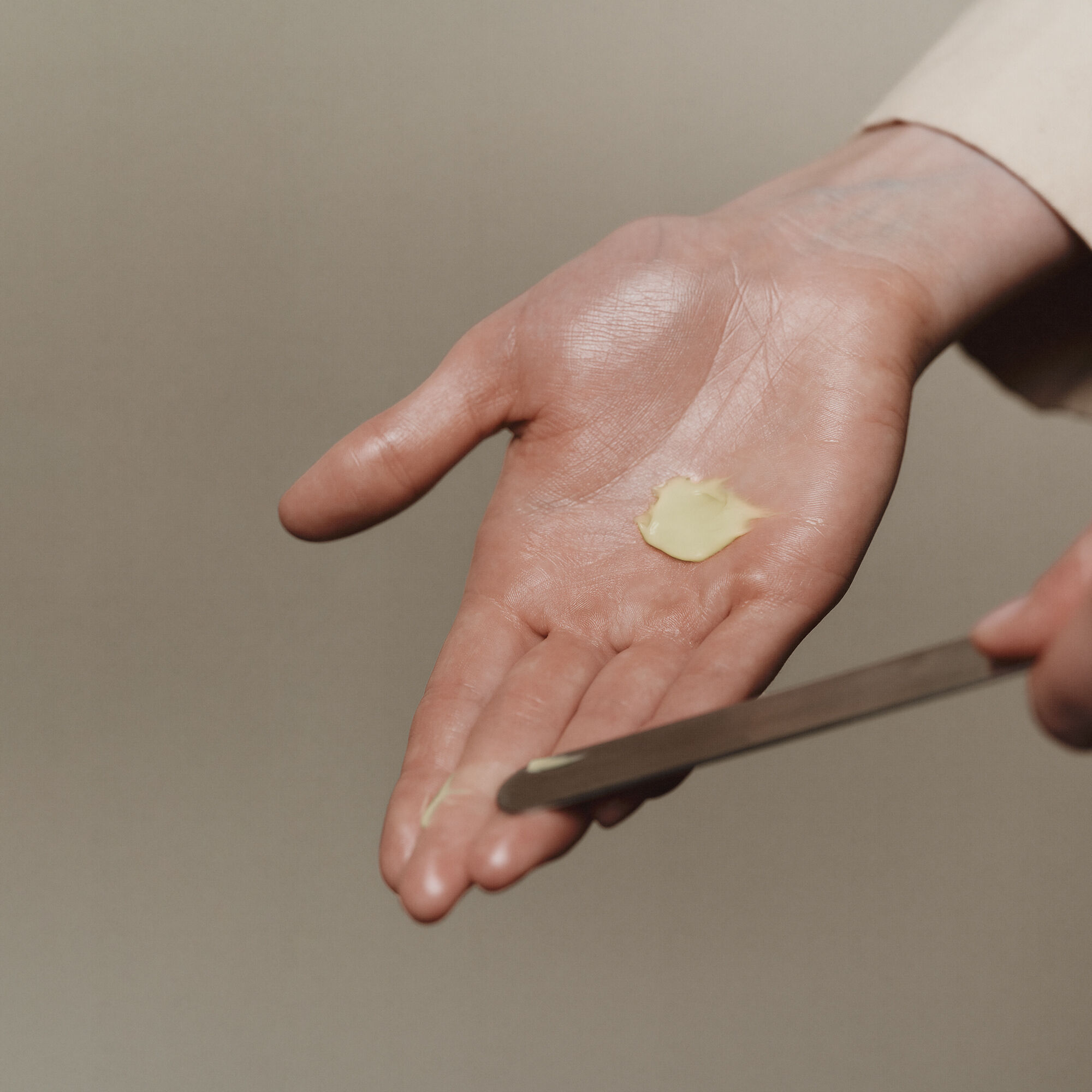 Camellia Nut Facial Hydrating Cream