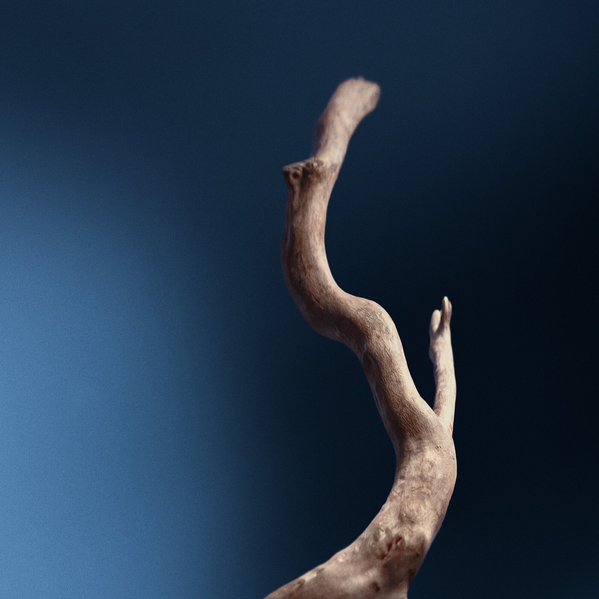 Resolute Facial Concentrate