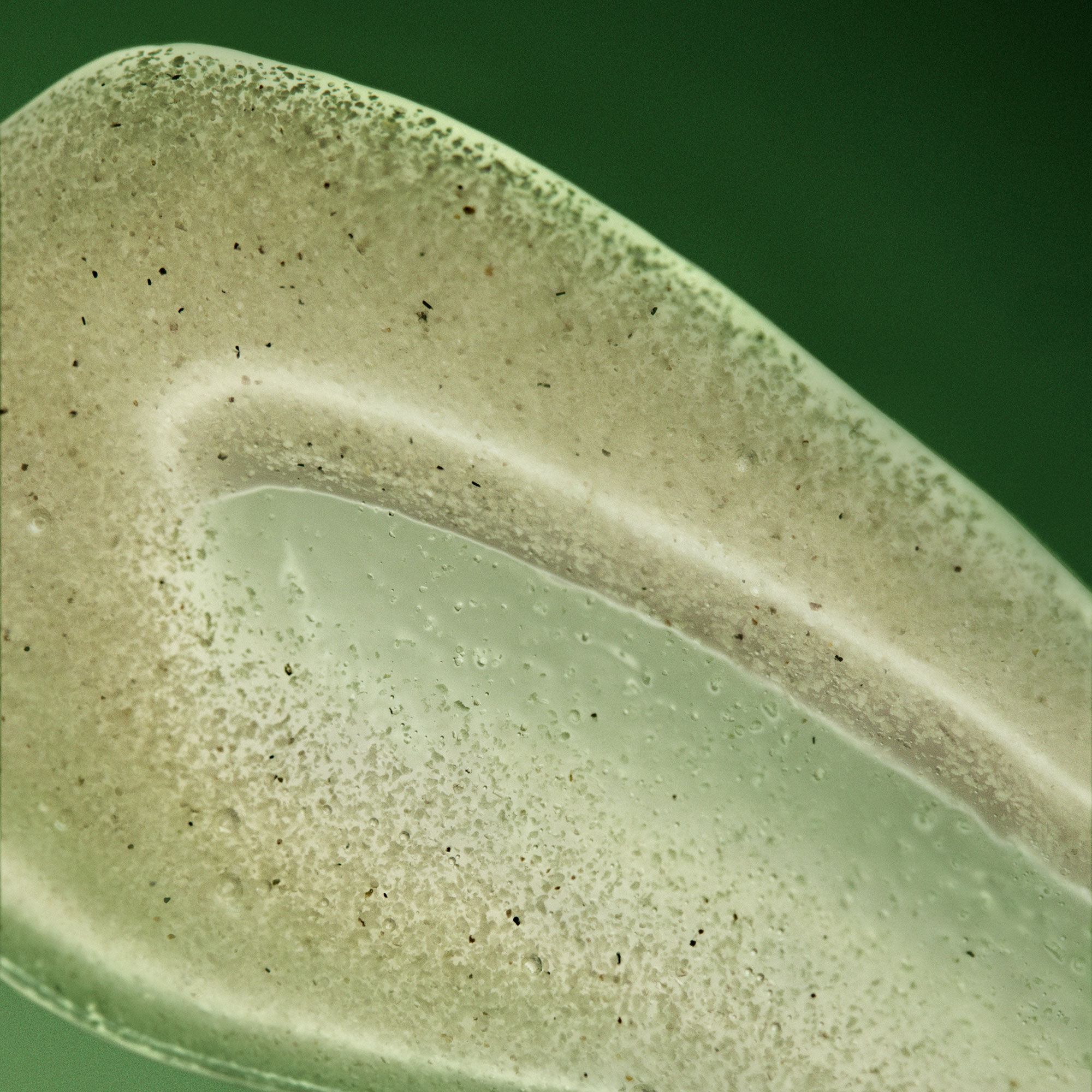 Geranium Leaf Body Scrub